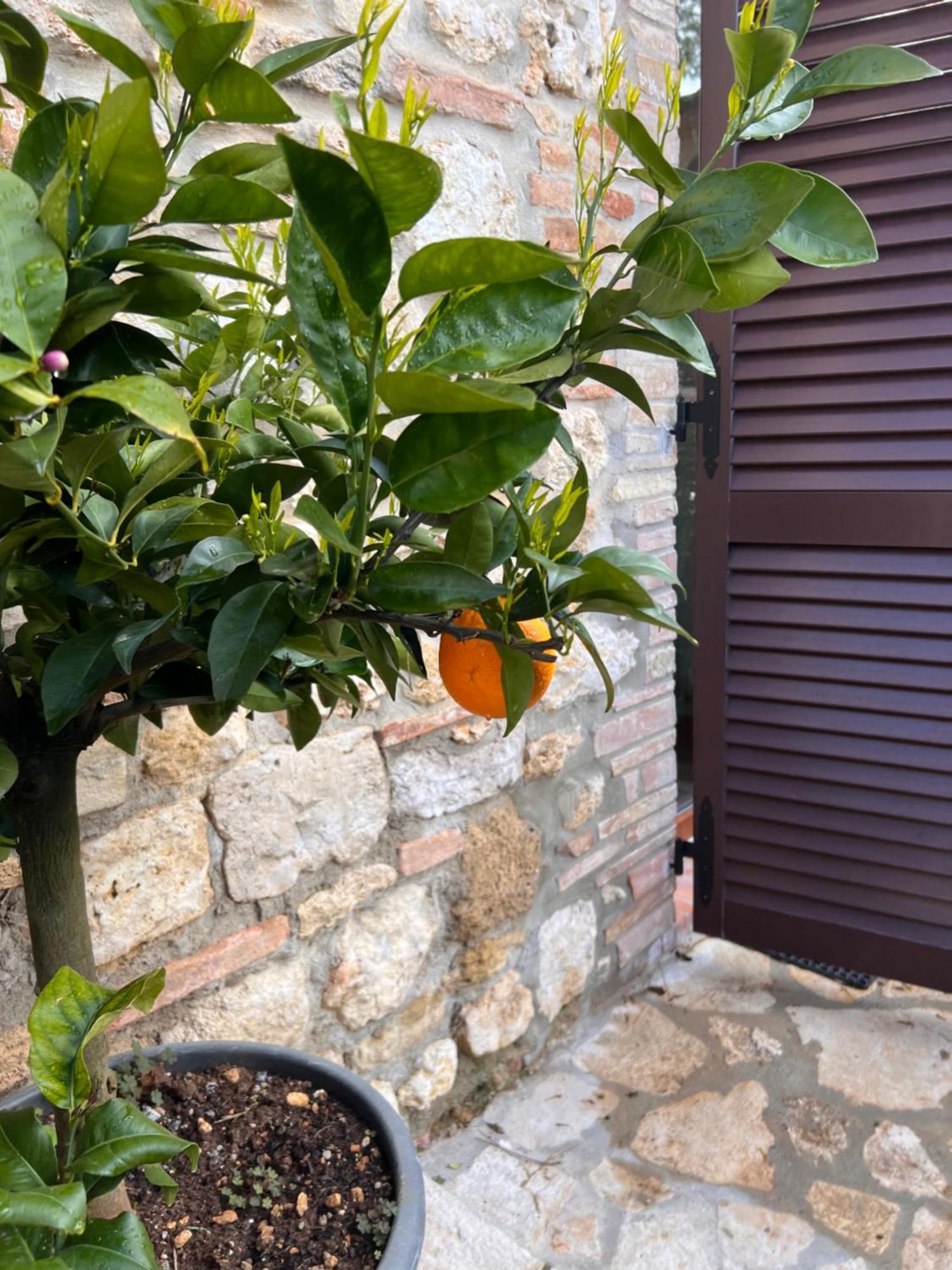 Bed & Breakfast Casale Gregoriano Bed&breakfast&apartments 2*
