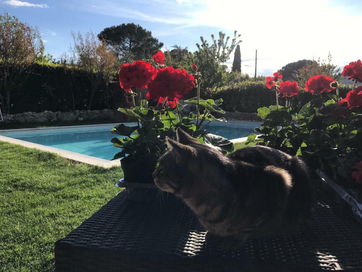 Bed & Breakfast Bed & Breakfast Casale Gregoriano And San Gimignano